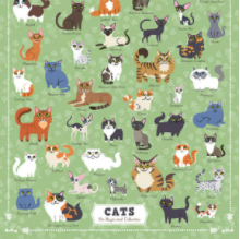 Puzzle - Cats Illustrated